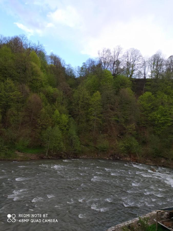 Apartament Panorama Kwasy Zewnętrze zdjęcie